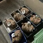 Mosselen geleverd!